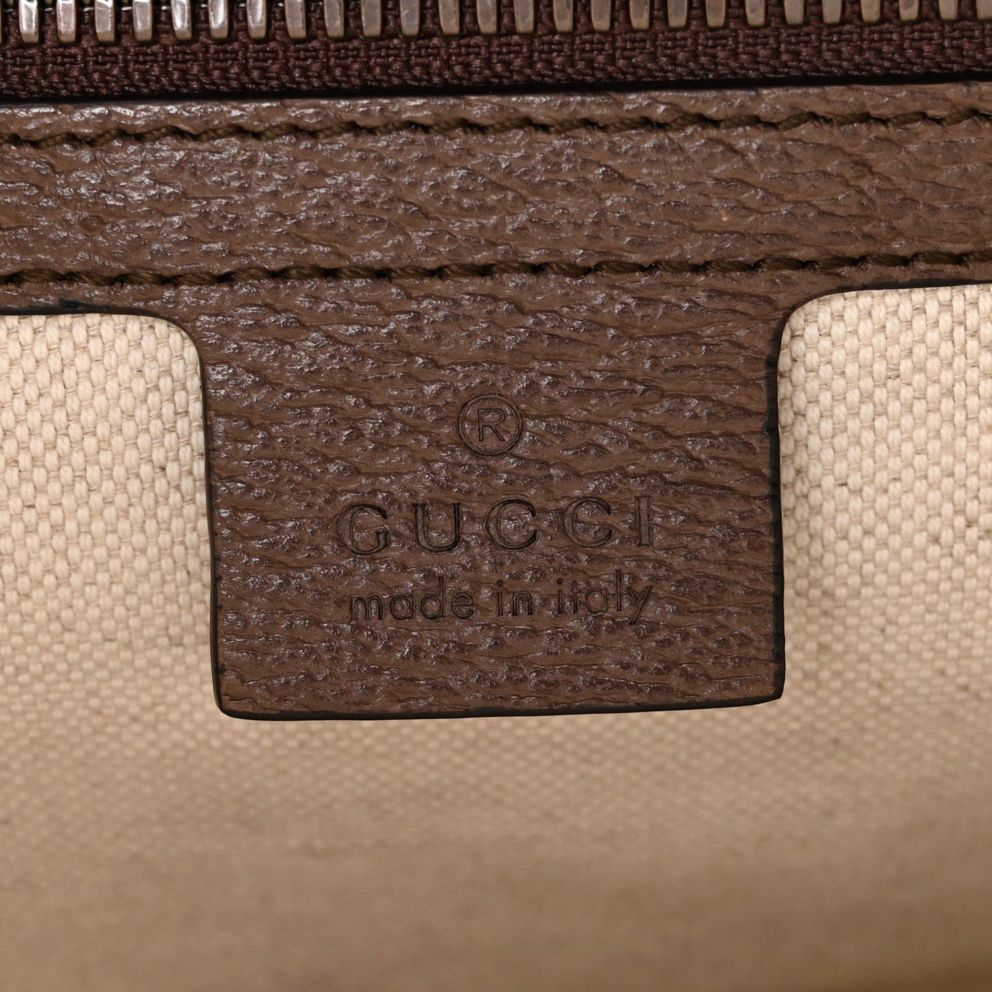 GG Supreme Monogram Web Small Ophidia Half Moon Hobo Brown
