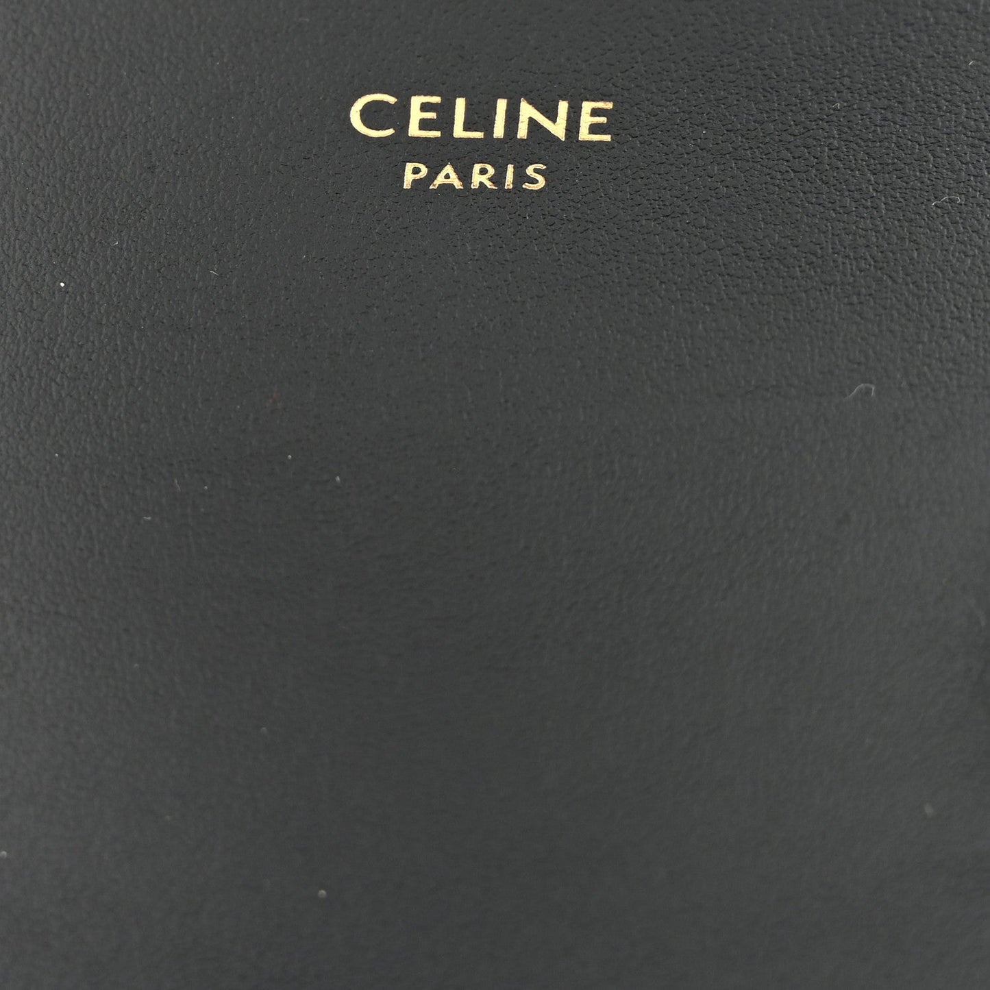 Shiny Calfskin Mini Triomphe Black