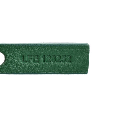 Goyardine Reversible Mini Anjou Green