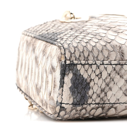 Snakeskin Micro Lady D-Joy Grey