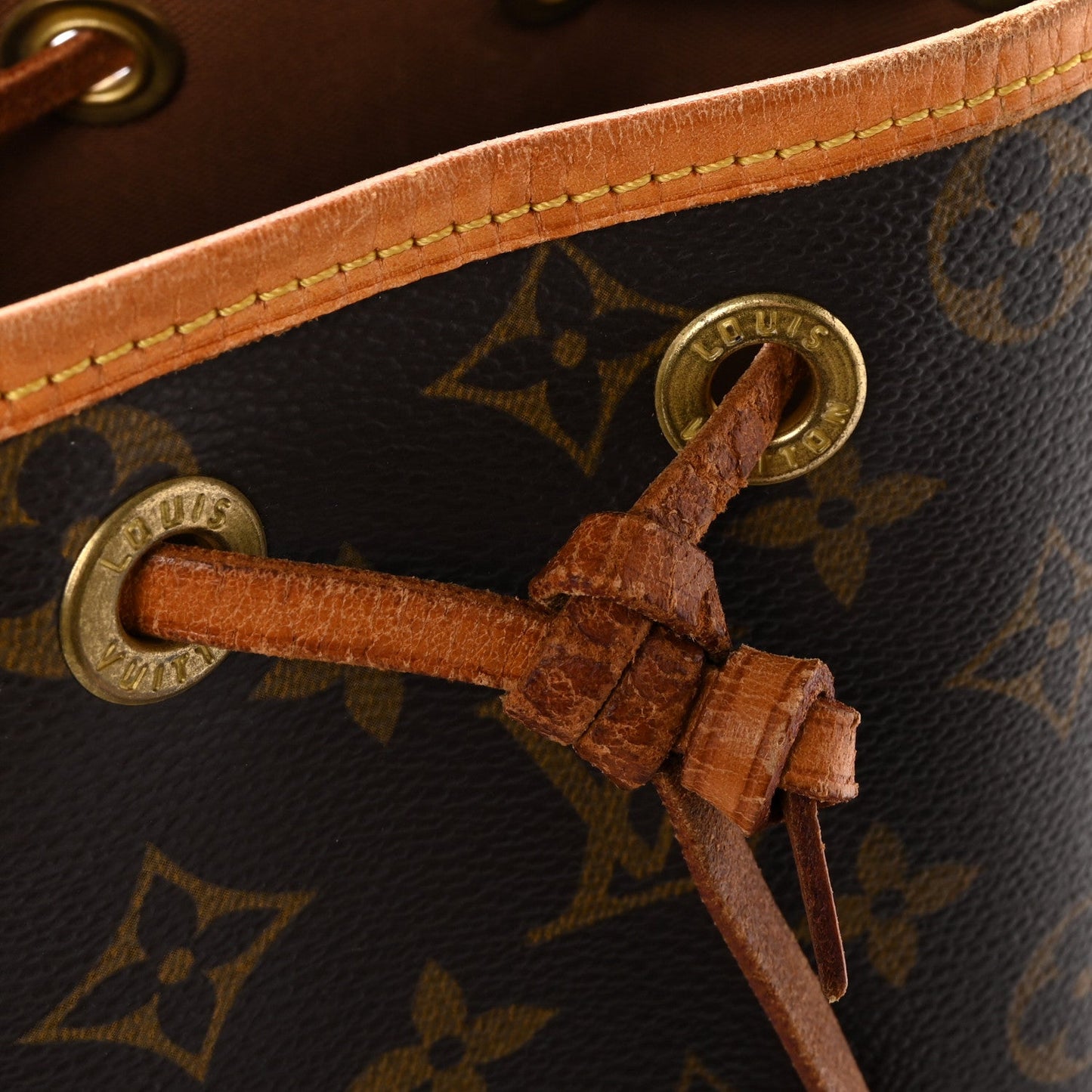 Monogram Mini Noe