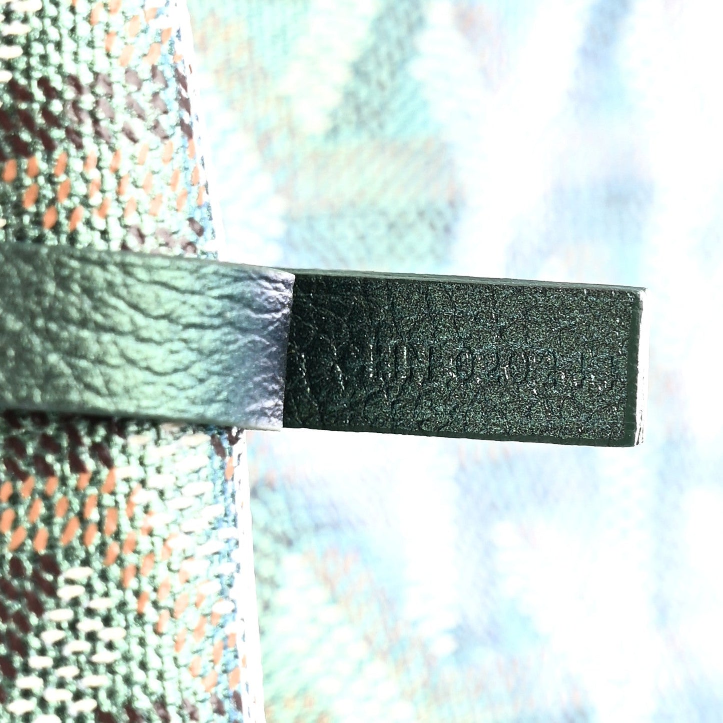 Iridescent Goyardine Saint Louis PM Pearly Green