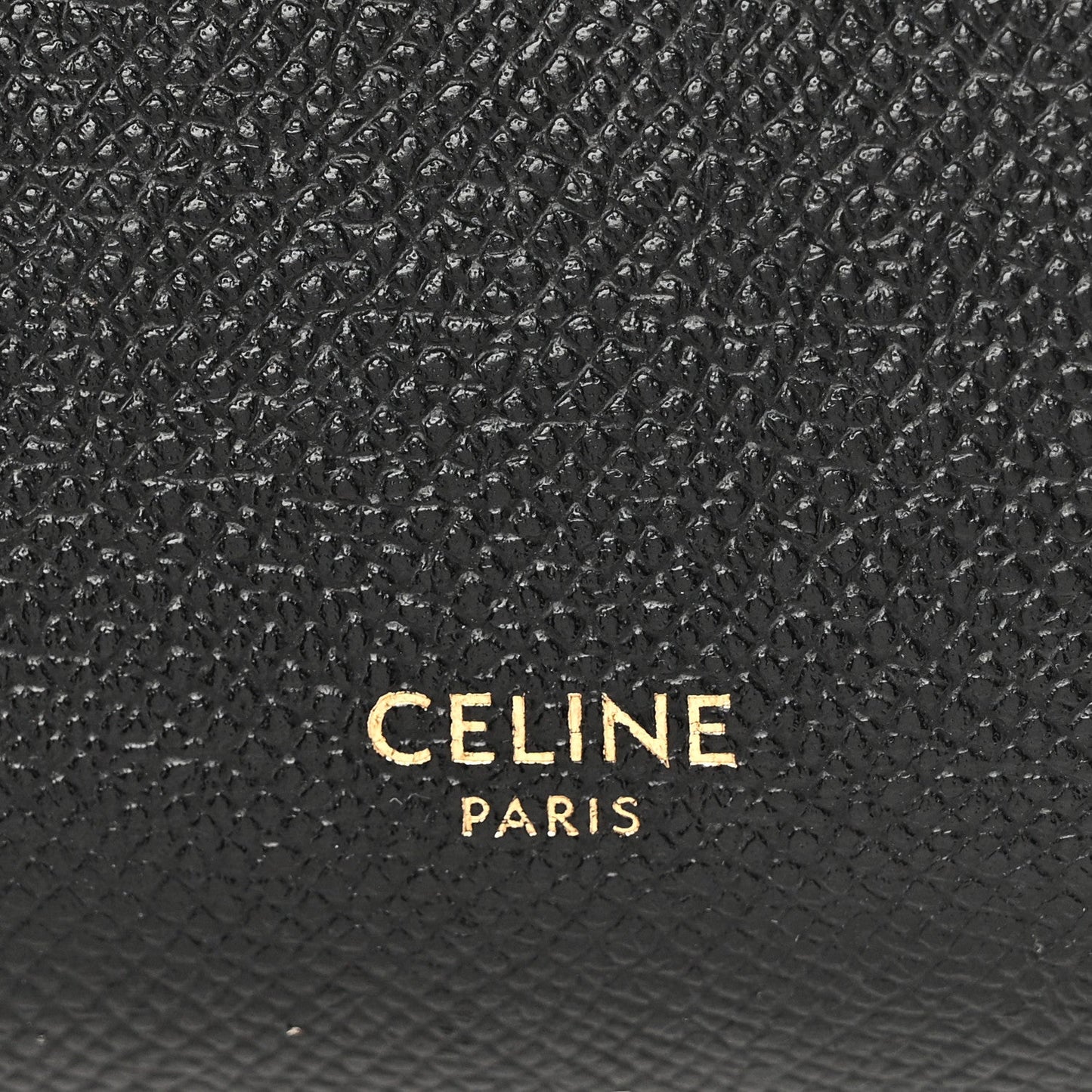 Grained Calfskin Pico Belt Bag Black