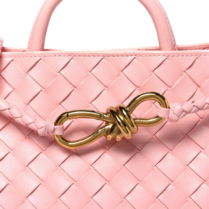 Nappa Intrecciato Small Andiamo Shoulder Bag Blush