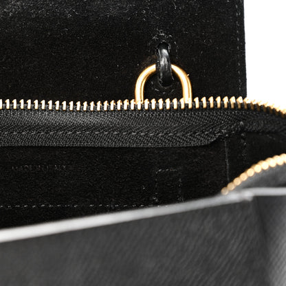 Grained Calfskin Pico Belt Bag Black