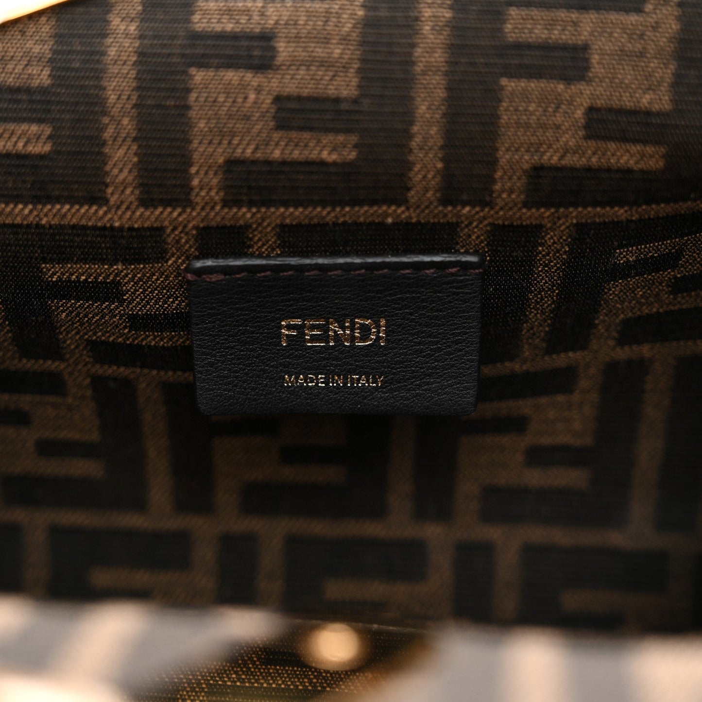 Shiny Nappa Small Fendi First Poudre