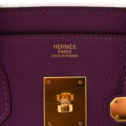 Togo Birkin 30 Anemone