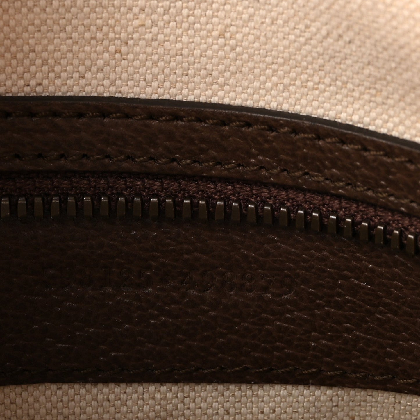 GG Supreme Monogram Web Small Ophidia Half Moon Hobo Brown