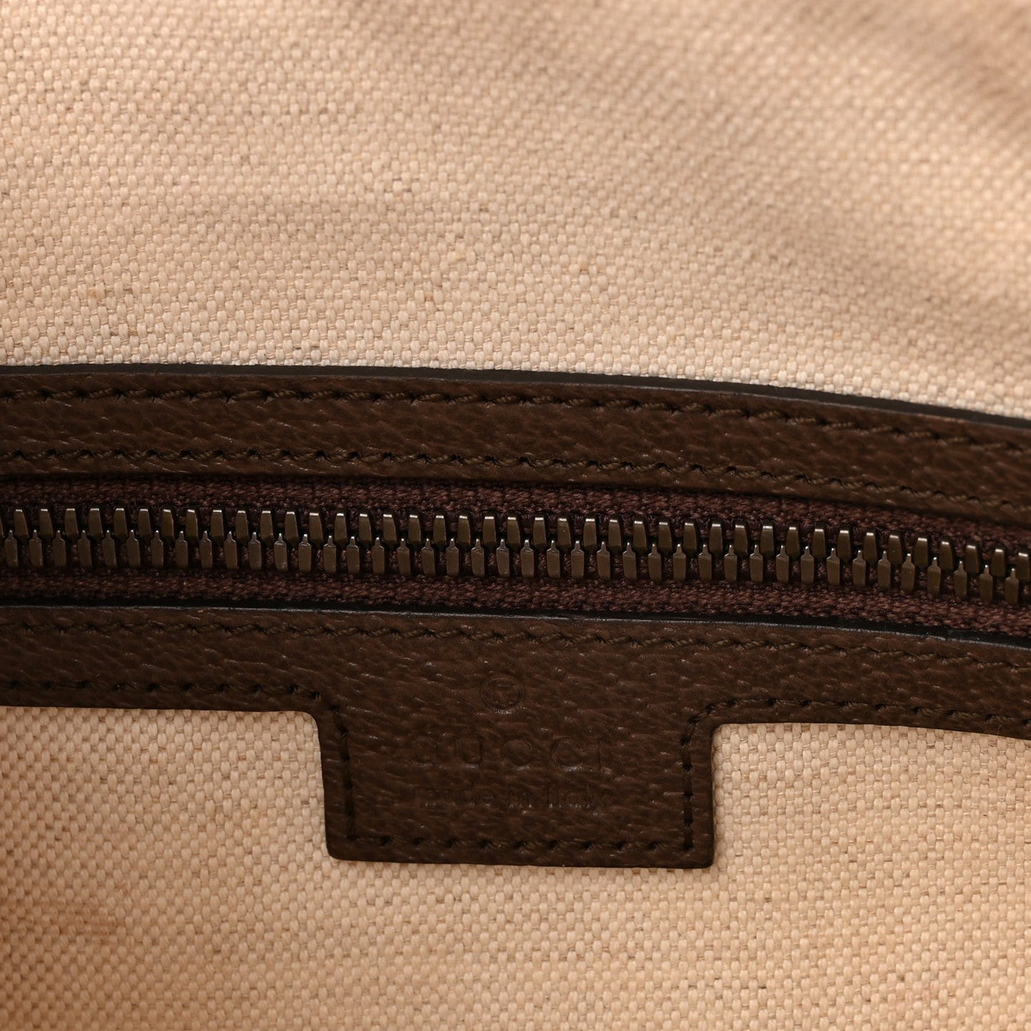 GG Supreme Monogram Web Small Ophidia Half Moon Hobo Brown