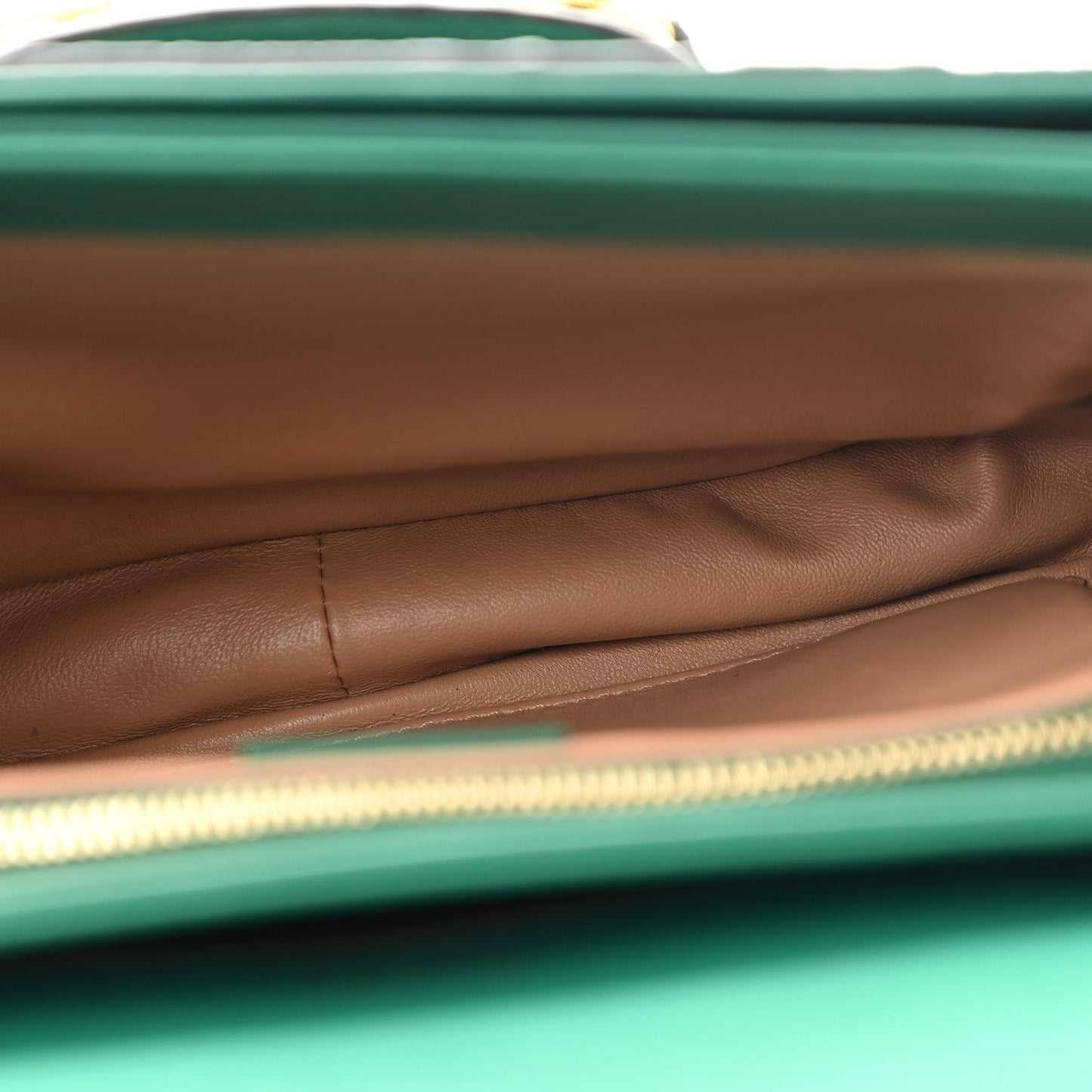 Snakeskin Horsebit 1955 Shoulder Bag Green